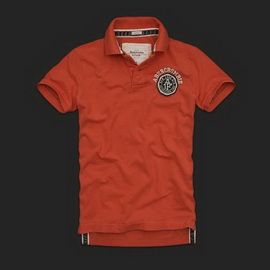 Camisa Polo Abercrombie & Fitch